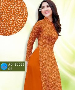 1611557608 721 Vai Ao Dai Dep 2021 13.jpg